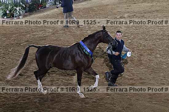 Proof Number 10r9_1525