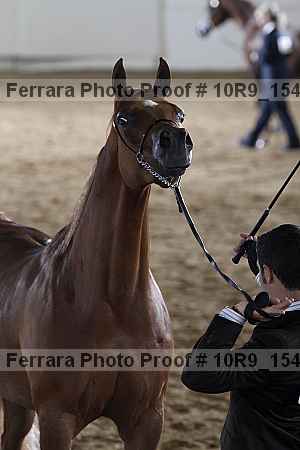 Proof Number 10r9_1544