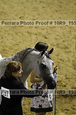 Proof Number 10r9_1550