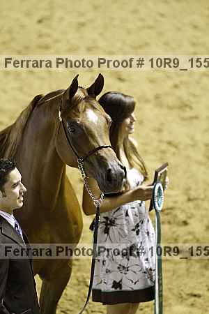 Proof Number 10r9_1554