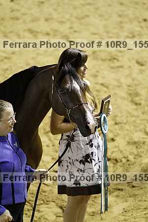 Proof Number 10r9_1558