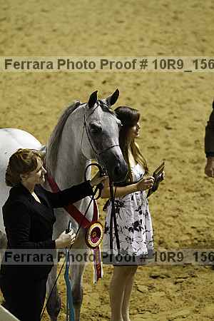 Proof Number 10r9_1565