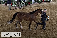 10r9_1574 thumbnail