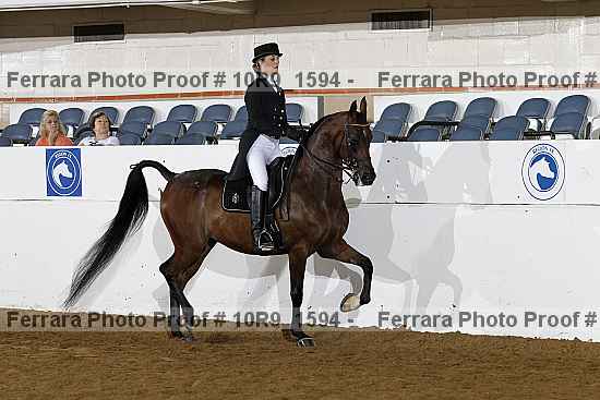 Proof Number 10r9_1594