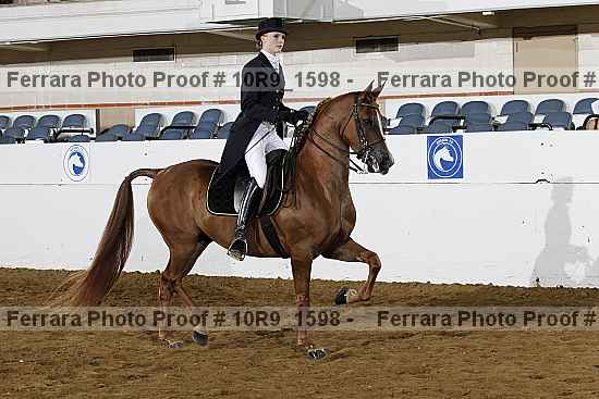 Proof Number 10r9_1598