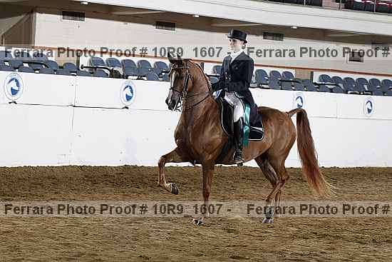 Proof Number 10r9_1607