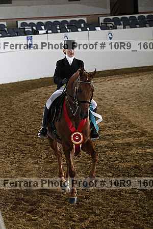 Proof Number 10r9_1608