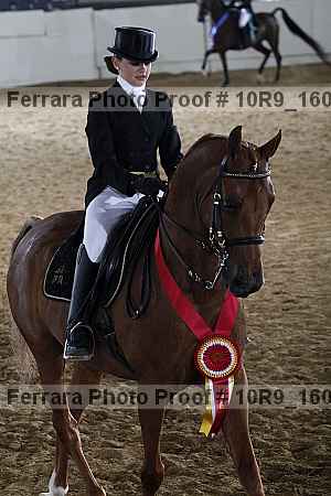 Proof Number 10r9_1609