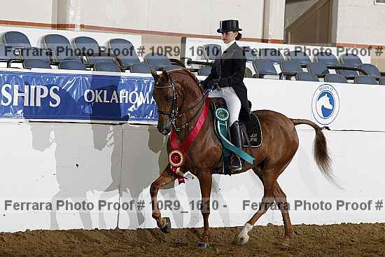 Proof Number 10r9_1610