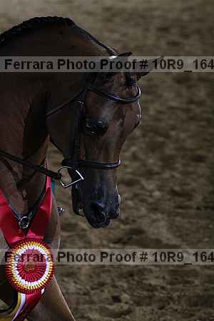 Proof Number 10r9_1647