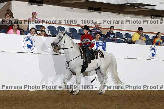 Proof Number 10r9_1663