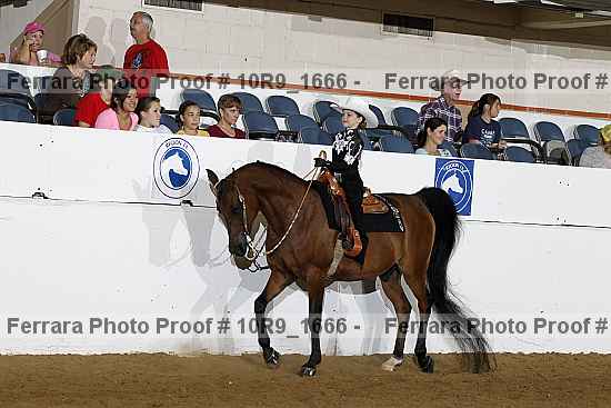 Proof Number 10r9_1666