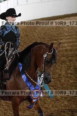 Proof Number 10r9_1736