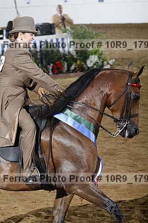 Proof Number 10r9_1793