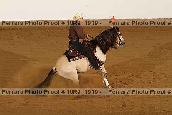 Proof Number 10r9_1919