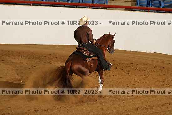 Proof Number 10r9_2023