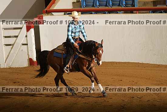 Proof Number 10r9_2024