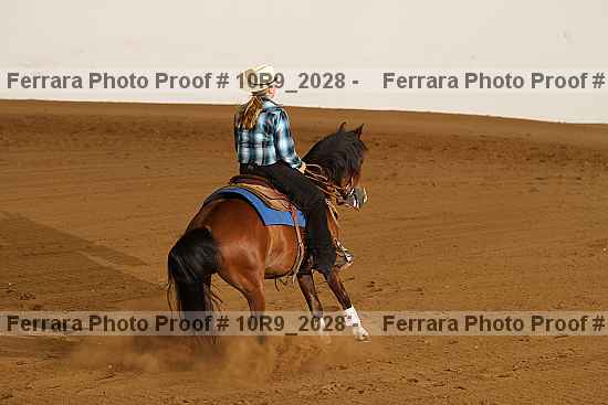 Proof Number 10r9_2028