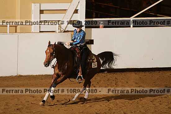 Proof Number 10r9_2080