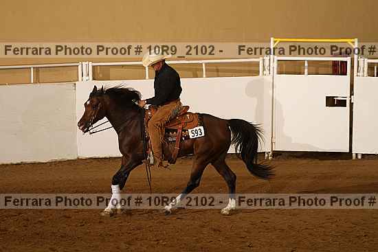 Proof Number 10r9_2102