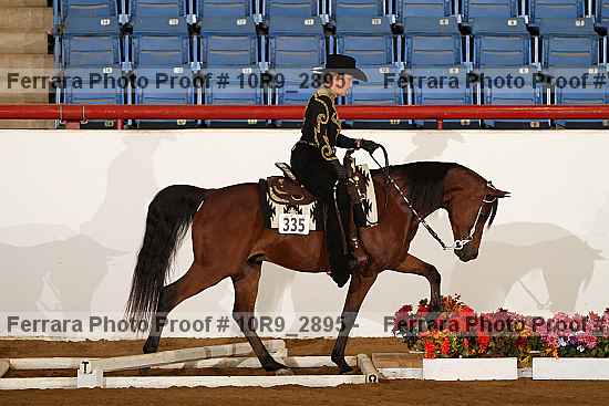 Proof Number 10r9_2895