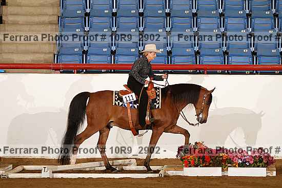 Proof Number 10r9_2902