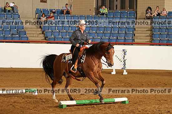 Proof Number 10r9_2905