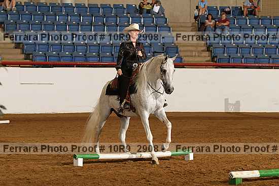 Proof Number 10r9_2908