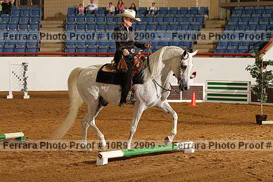 Proof Number 10r9_2909