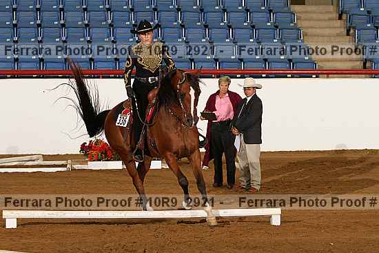 Proof Number 10r9_2921