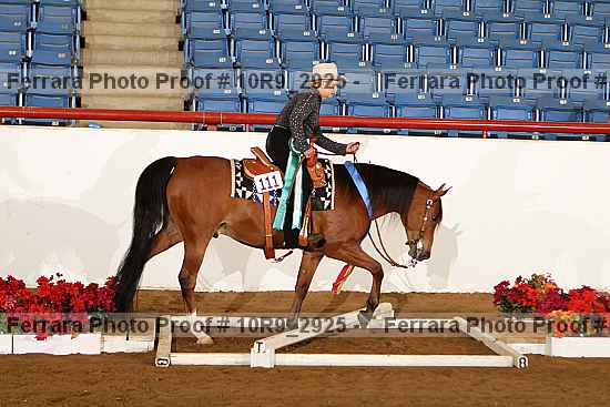 Proof Number 10r9_2925