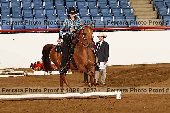 Proof Number 10r9_2957