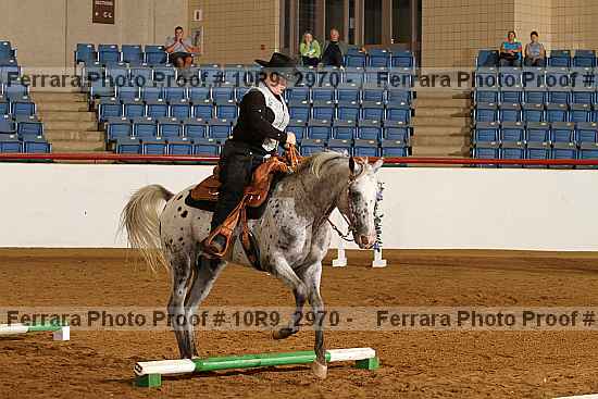 Proof Number 10r9_2970