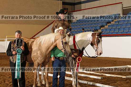 Proof Number 10r9_2975
