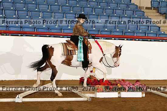 Proof Number 10r9_2979