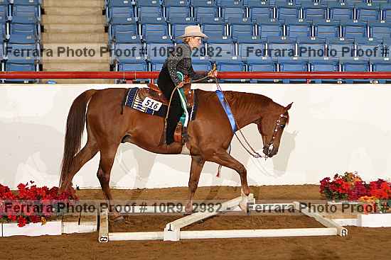 Proof Number 10r9_2982