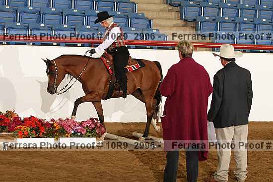 Proof Number 10r9_2996