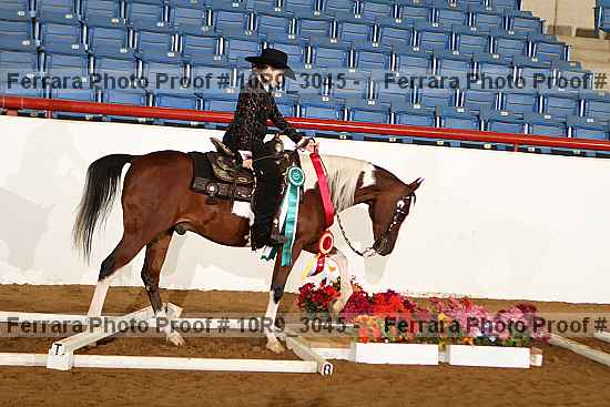 Proof Number 10r9_3045