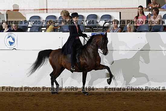 Proof Number 10r9_2184