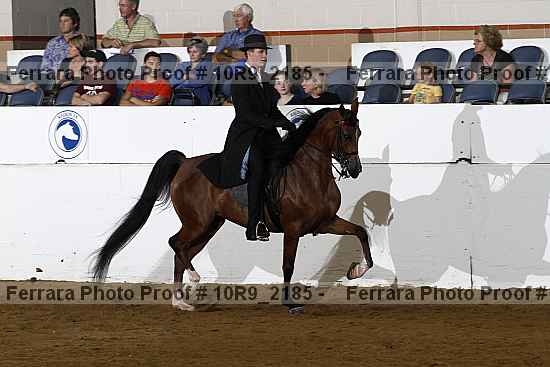 Proof Number 10r9_2185