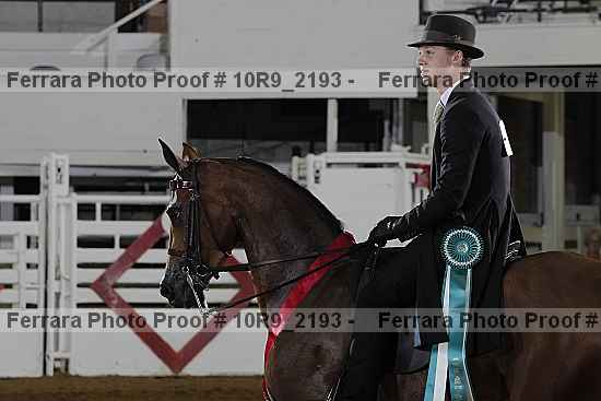 Proof Number 10r9_2193