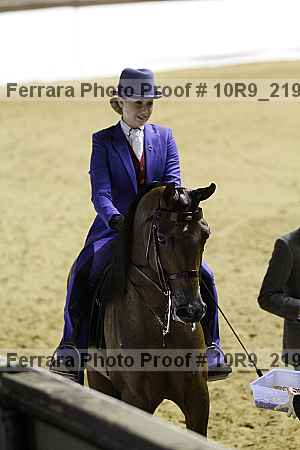 Proof Number 10r9_2194