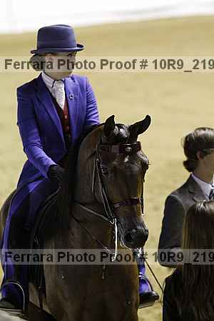 Proof Number 10r9_2195