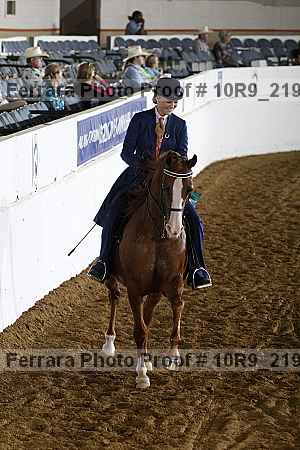 Proof Number 10r9_2197