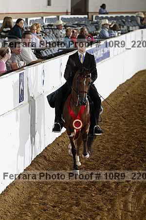 Proof Number 10r9_2202