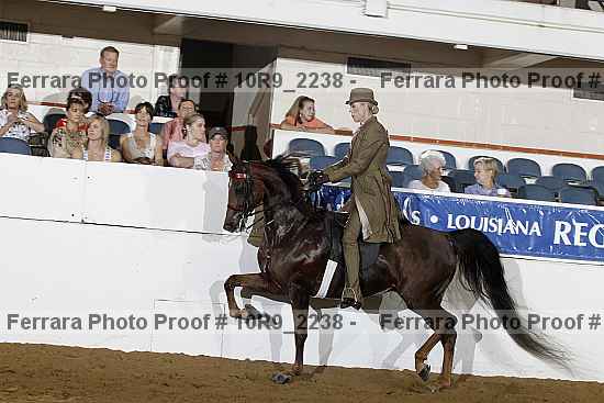 Proof Number 10r9_2238