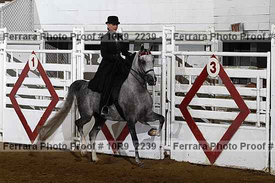 Proof Number 10r9_2239
