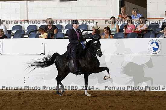 Proof Number 10r9_2244