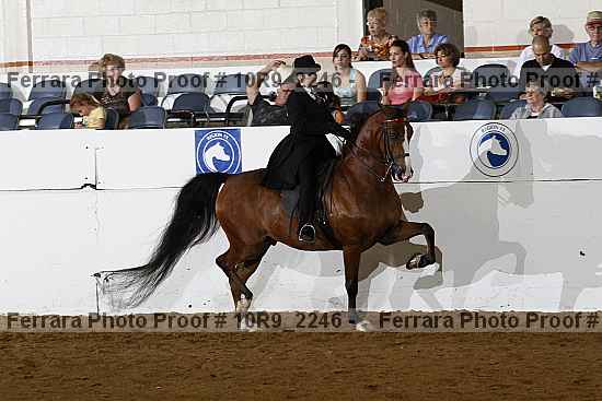 Proof Number 10r9_2246