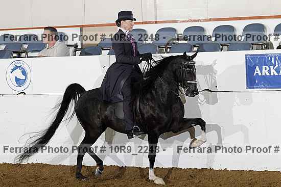 Proof Number 10r9_2248